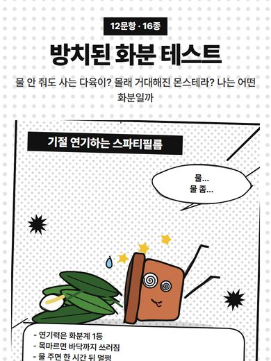 방치된 화분 테스트 첫 화면